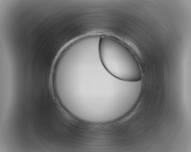 X0000115790880200911131024