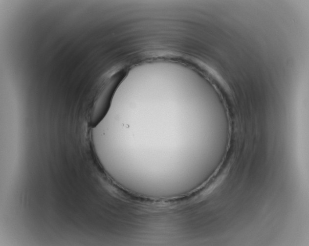 X0000115790881200911131024