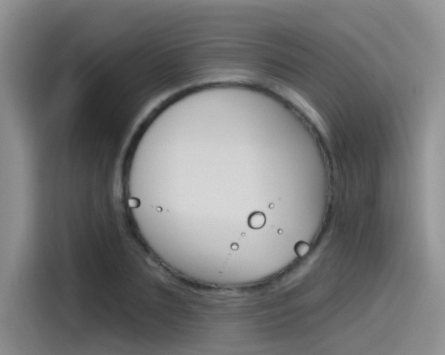 X0000115790883200911131024