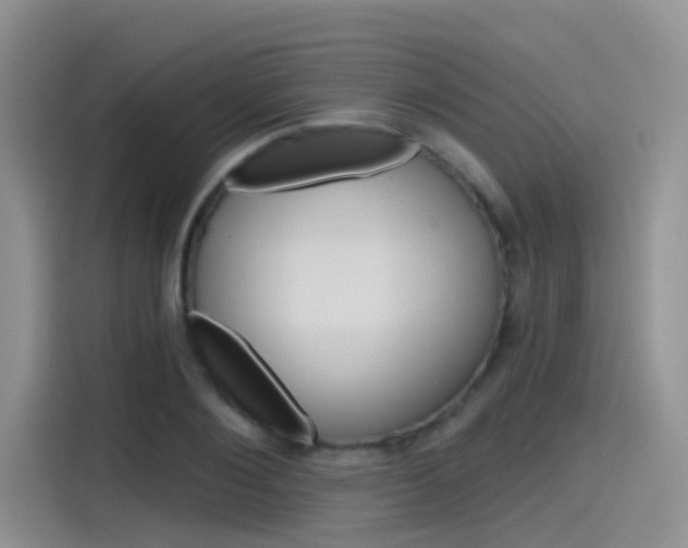 X0000115790884200911131024