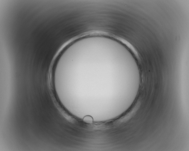 X0000115790886200911131024