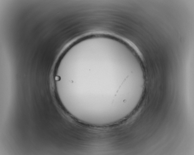 X0000115790887200911131024
