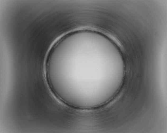 X0000115790888200911131024