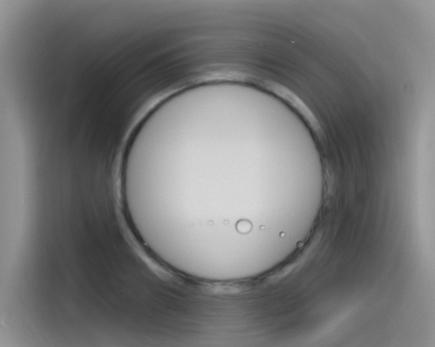 X0000115790890200911131024