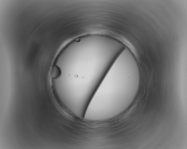 X0000115790891200911131024