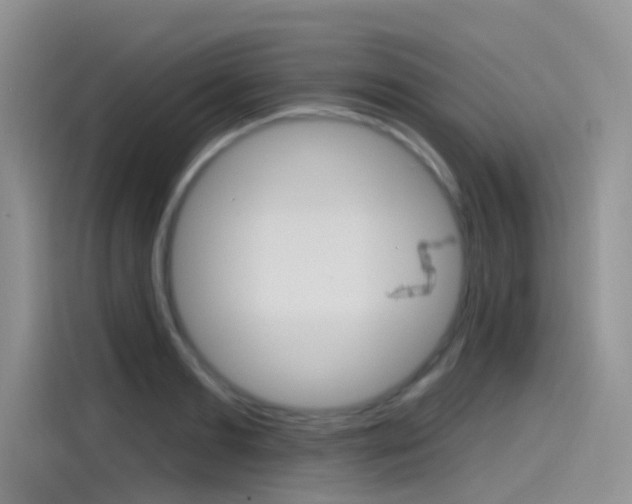X0000115790893200911131024