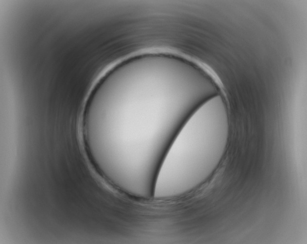 X0000115790895200911131024