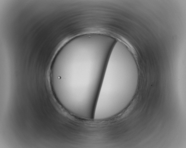 X0000115790899200911131024