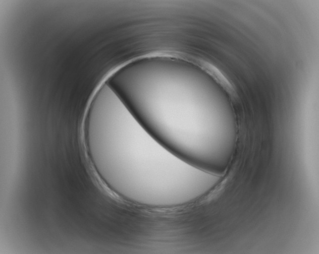 X0000115790900200911131024