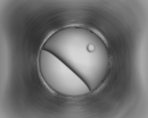 X0000115790906200911131024