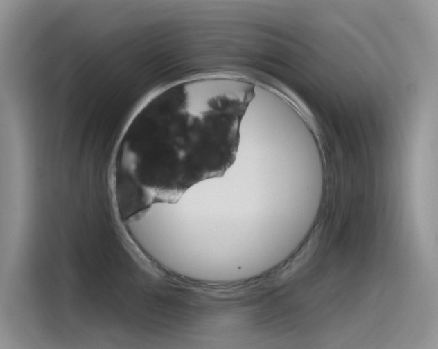 X0000115790907200911131024