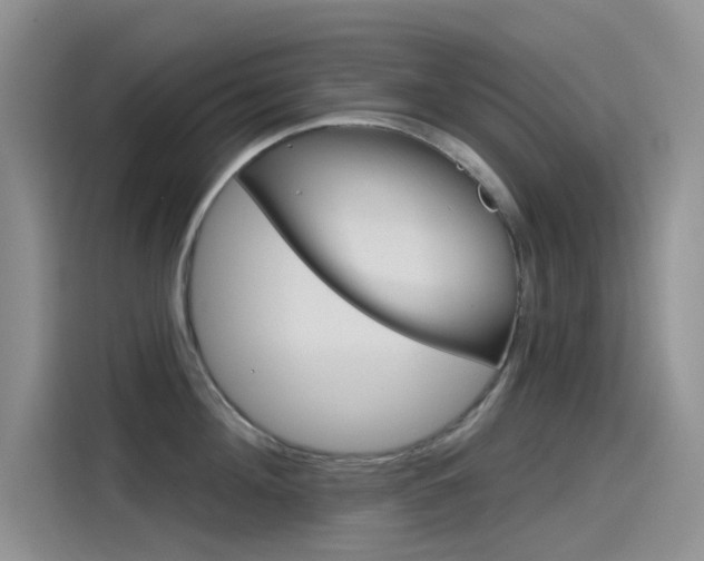 X0000115790908200911131024