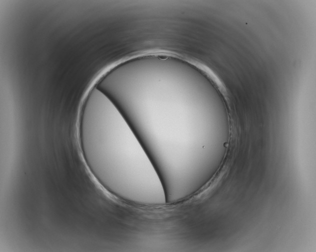 X0000115790910200911131024