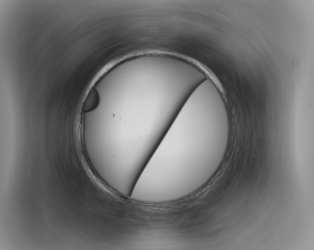 X0000115790911200911131024