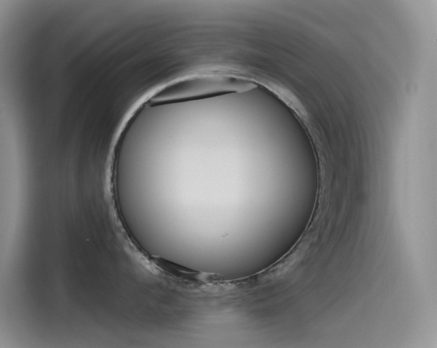 X0000115790912200911131024