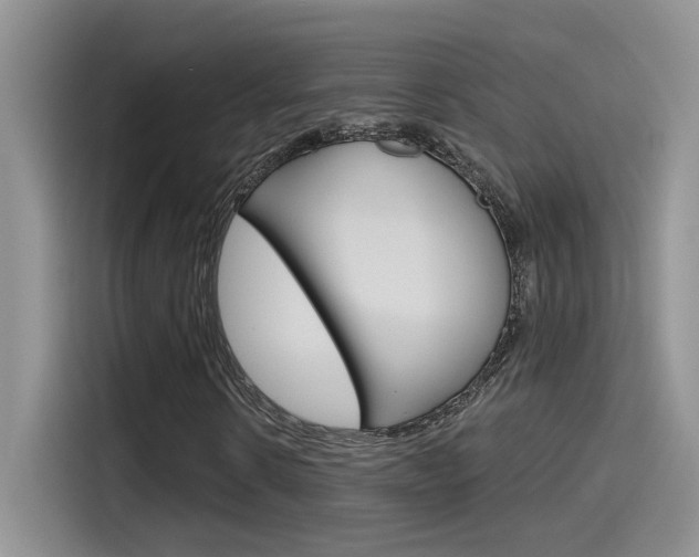 X0000115790914200911131023