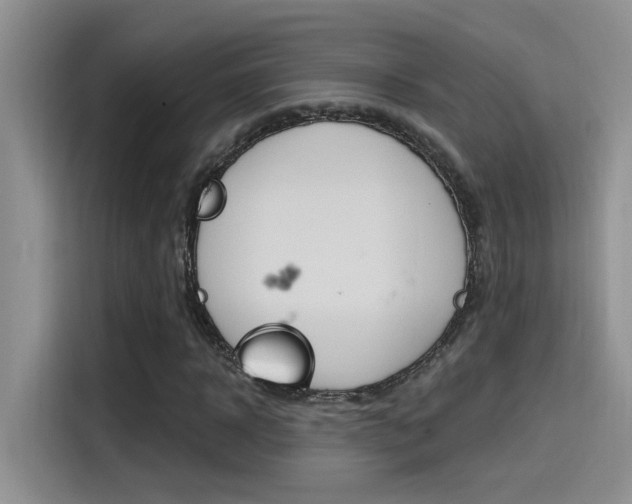 X0000115790918200911131023