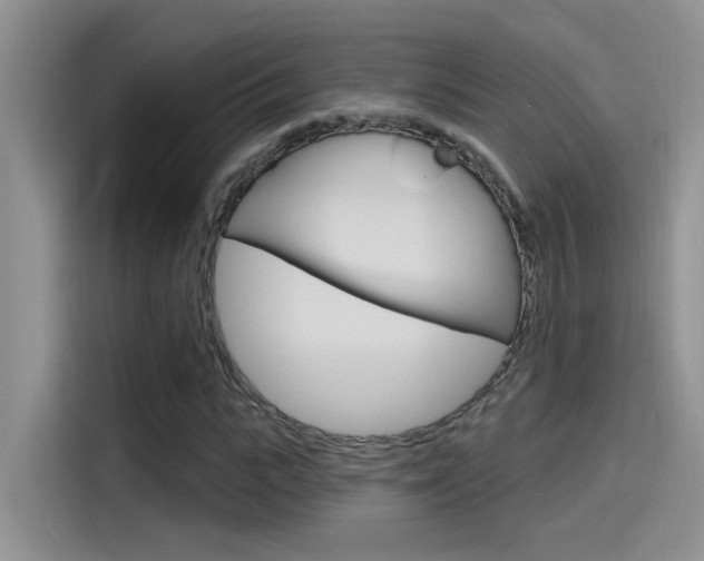 X0000115790919200911131023