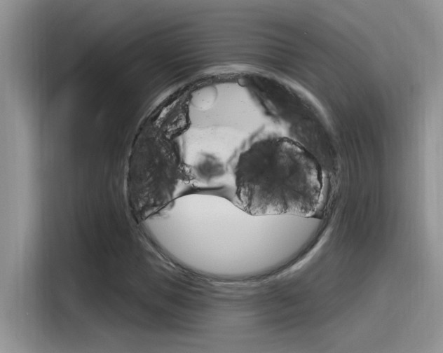 X0000115790921200911131023