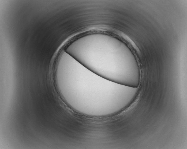 X0000115790923200911131023