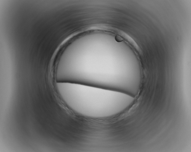 X0000115790931200911131023