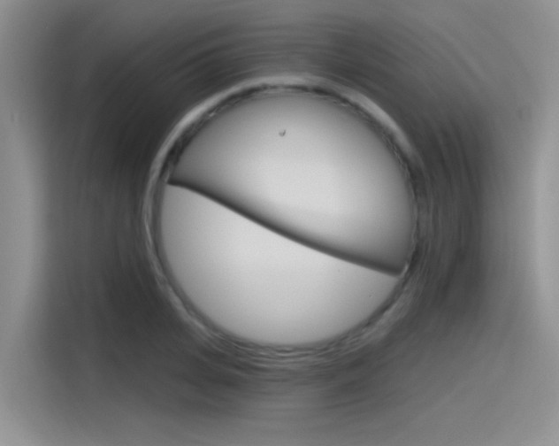 X0000115790935200911131023