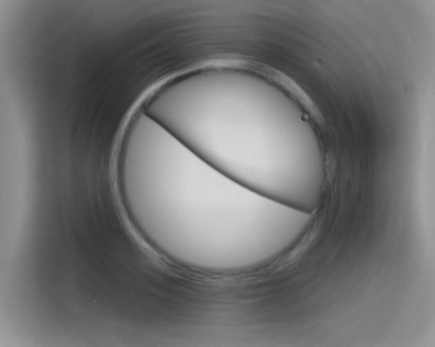 X0000115790939200911131023
