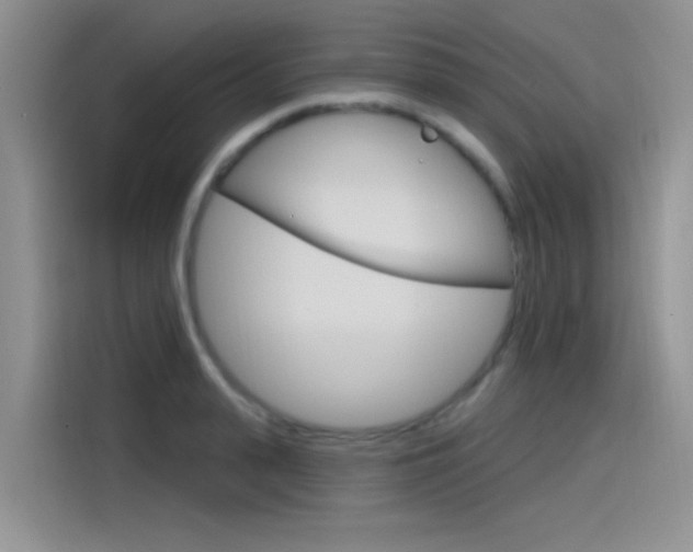 X0000115790943200911131023
