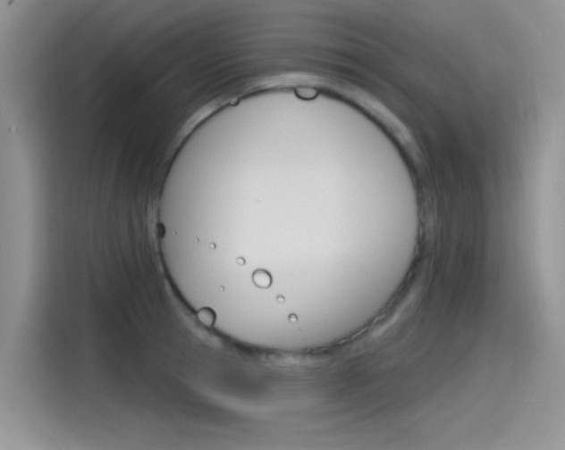 X0000115790945200911131023
