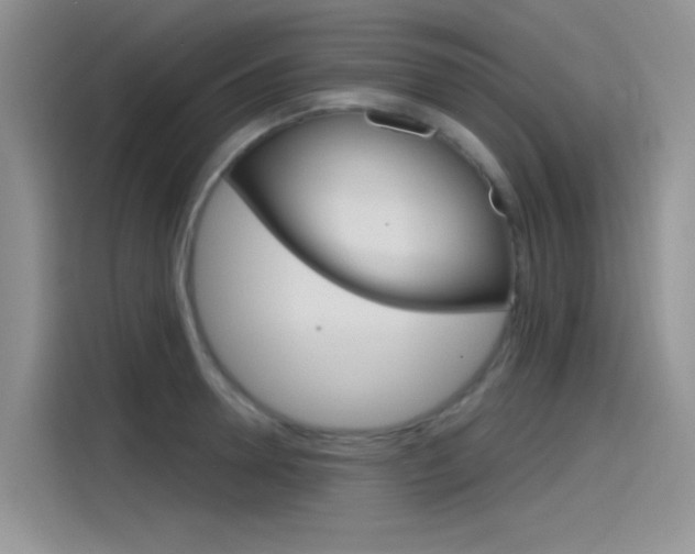 X0000115790946200911131024