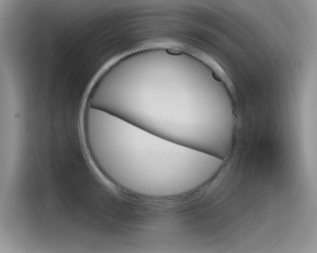 X0000115790947200911131024