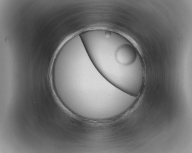 X0000115790949200911131024