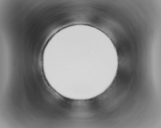 X0000115790950200911131024