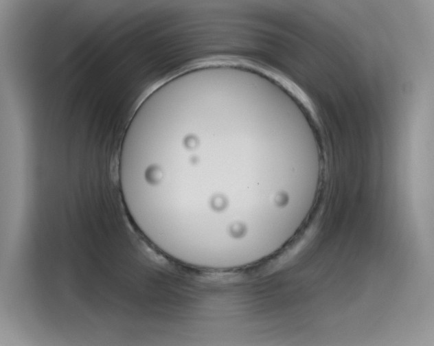 X0000115790953200911131024