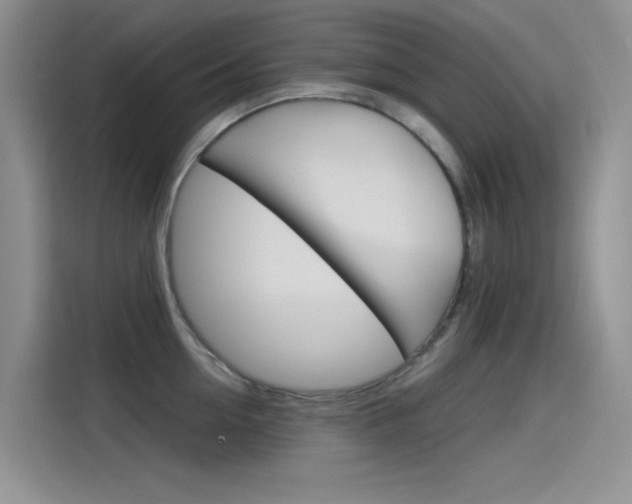 X0000115790954200911131024