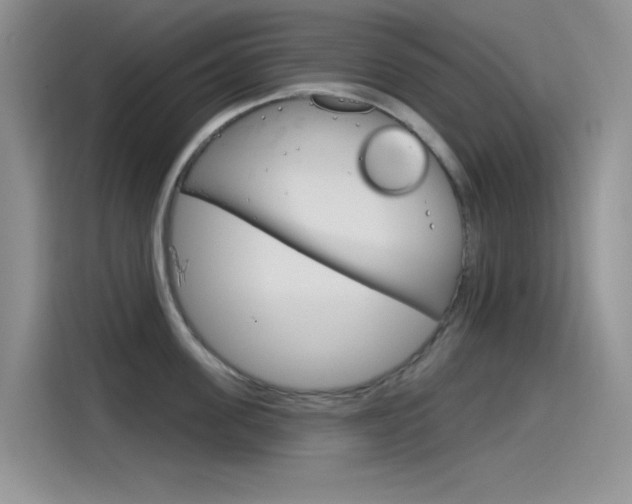 X0000115790955200911131024