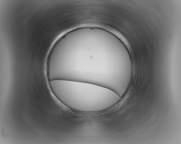 X0000115790958200911131024