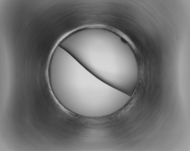 X0000115790959200911131024