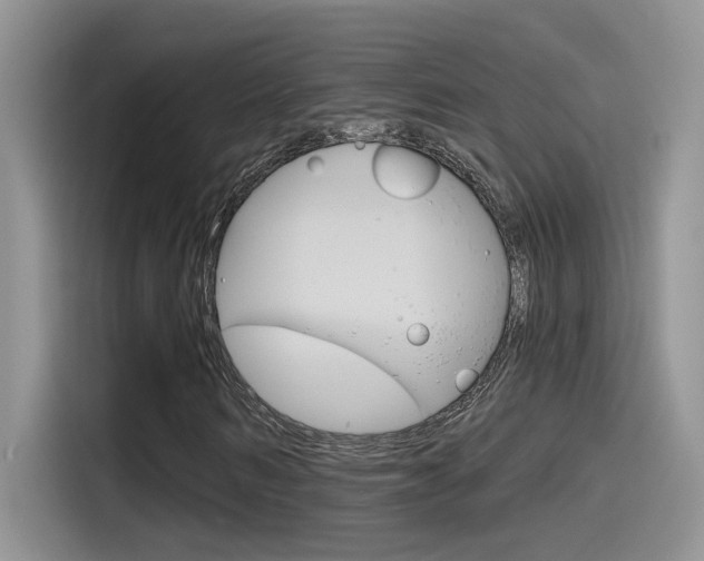 X0000115790962200911131023