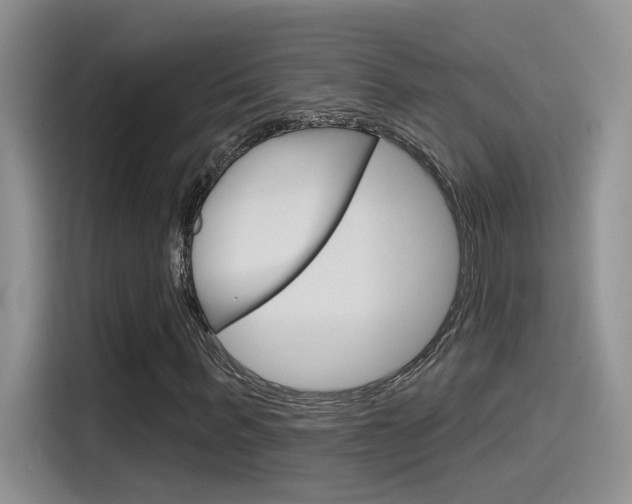 X0000115790963200911131023