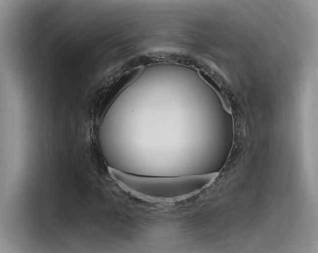 X0000115790965200911131023