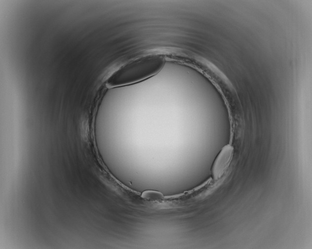 X0000115790969200911131023