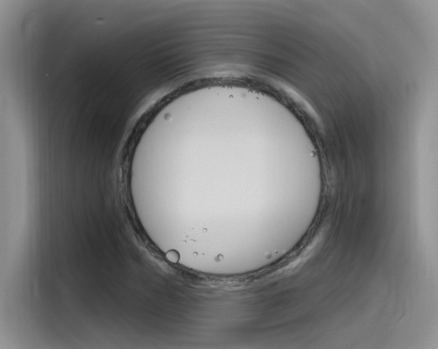 X0000115790970200911131023