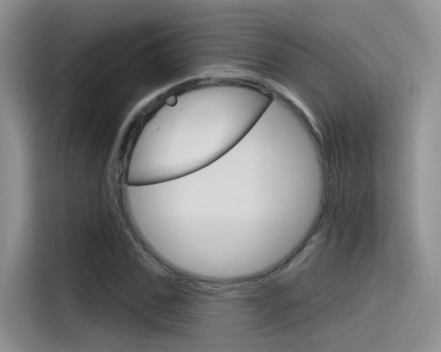X0000115790971200911131023