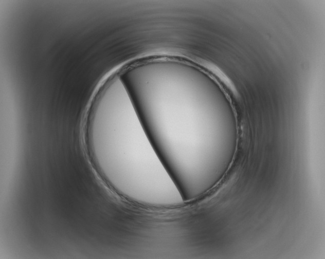 X0000115790972200911131023