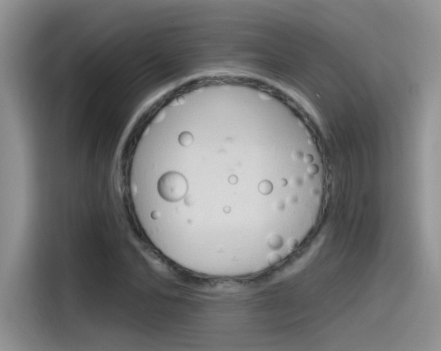 X0000115790974200911131023