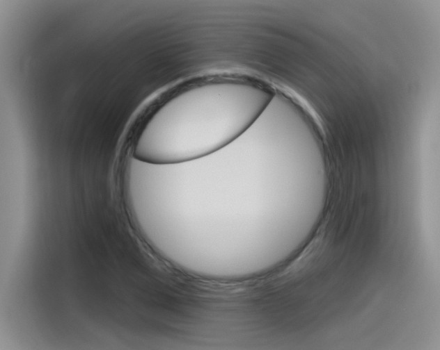X0000115790975200911131023