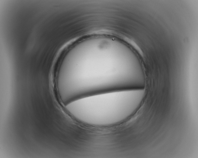 X0000115790979200911131023