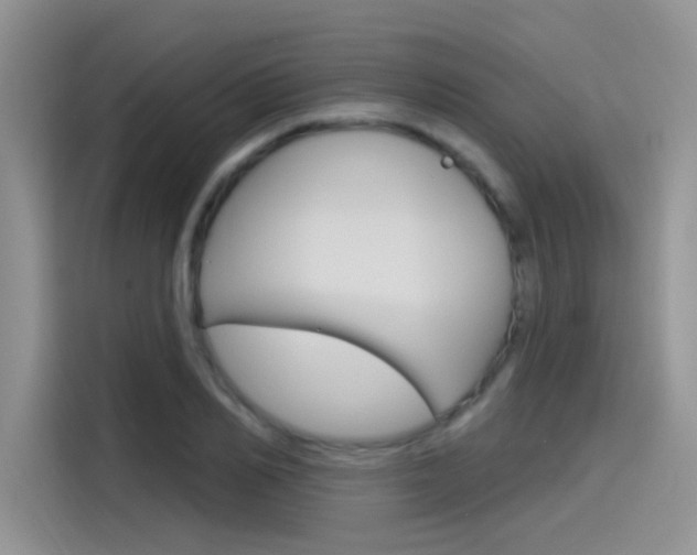 X0000115790982200911131023