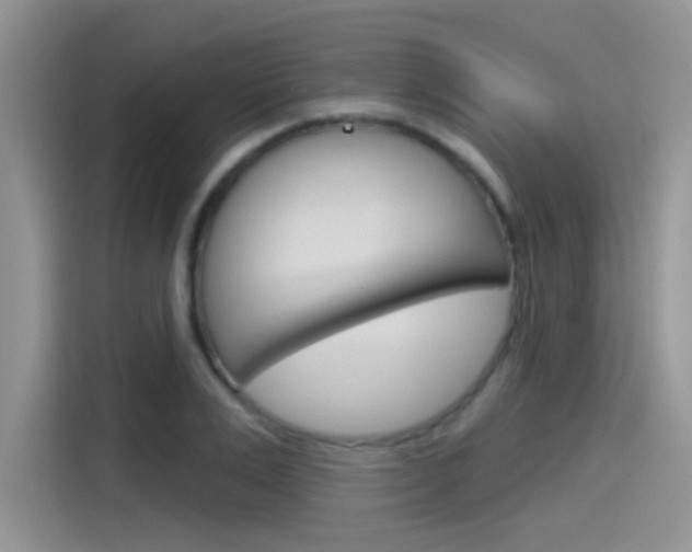 X0000115790983200911131023